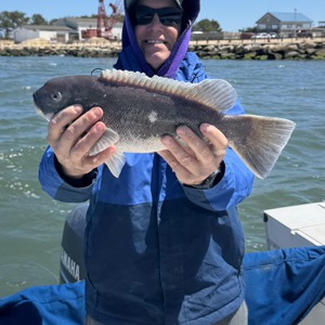 11293 2026-04-21-1821