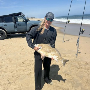 11298 2026-04-23-2008