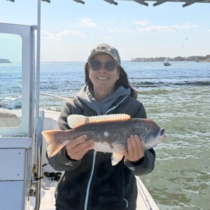 11301 2026-04-23-468