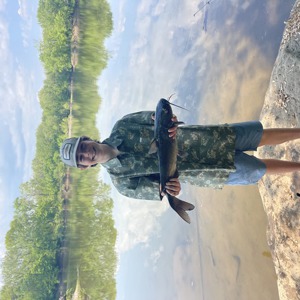 11307 2026-04-24-2159