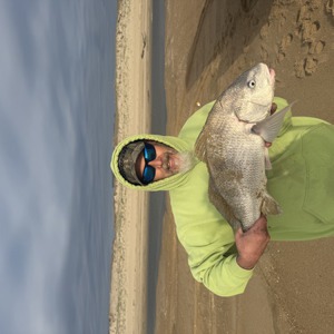 11308 2026-04-25-519