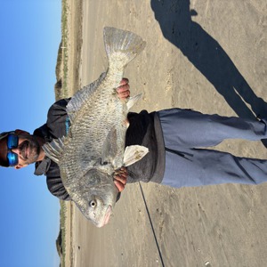Image #11317 from GreatAnglers.com