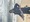 11323 Dogfish Shark 05/03/26 8:55am