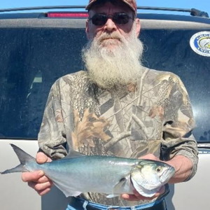 Image #11354 from GreatAnglers.com