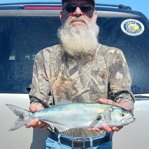 Image #11355 from GreatAnglers.com