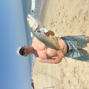 Image #11361 from GreatAnglers.com