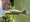 11365 Largemouth Bass 05/19/26 12:32pm 11365 Largemouth Bass 05/19/26 12:32pm