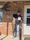 11395 Delaware state record flathead catfish 06/01/26 8:46am 11395 Delaware state record flathead catfish 06/01/26 8:46am