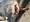 11406 Thresher Shark 06/05/26 6:52pm 11406 Thresher Shark 06/05/26 6:52pm