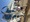 11407 Thresher Shark 06/05/26 6:46pm 11407 Thresher Shark 06/05/26 6:46pm