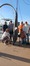 11429 Thresher Shark 06/05/26 6:44pm 11429 Thresher Shark 06/05/26 6:44pm