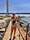 11430 Flounder 06/06/26 10:53am 11430 Flounder 06/06/26 10:53am