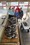 11435 Black Sea Bass and Red Hake (Ling) 06/09/26 3:25pm 11435 Black Sea Bass and Red Hake (Ling) 06/09/26 3:25pm