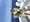 11460 Red Grouper 06/08/26 9:33am 11460 Red Grouper 06/08/26 9:33am
