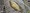11484 Red Eye Bass 06/27/26 6:03pm