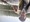 11505 Largemouth Bass 07/03/26 5:57am 11505 Largemouth Bass 07/03/26 5:57am