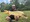 11536 Carp 07/18/26 4:26pm 11536 Carp 07/18/26 4:26pm