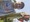 11547 Largemouth Bass 07/25/26 6:30pm 11547 Largemouth Bass 07/25/26 6:30pm