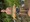 11553 Common Carp 07/26/26 7:38pm