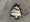 11558 Atlantic Spadefish 07/28/26 5:01pm 11558 Atlantic Spadefish 07/28/26 5:01pm