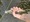 11569 Smallmouth Bass 08/01/26 6:37am 11569 Smallmouth Bass 08/01/26 6:37am