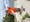 11570 Speckled Trout 08/01/26 3:00pm 11570 Speckled Trout 08/01/26 3:00pm