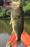11577 Largemouth Bass 08/01/26 10:39am 11577 Largemouth Bass 08/01/26 10:39am