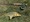 11591 Carp 08/09/26 3:11pm 11591 Carp 08/09/26 3:11pm