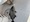 11599 Jack 08/09/26 10:48am 11599 Jack 08/09/26 10:48am