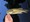 11601 Largemouth Bass 08/13/26 8:23pm 11601 Largemouth Bass 08/13/26 8:23pm