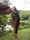 11603 Largemouth Bass 08/14/26 7:45pm 11603 Largemouth Bass 08/14/26 7:45pm