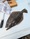11606 Flounder 08/05/26 11:32am 11606 Flounder 08/05/26 11:32am