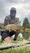 11673 Carp 09/05/26 10:58am 11673 Carp 09/05/26 10:58am