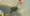 11694 Flounder 09/20/26 2:00pm 11694 Flounder 09/20/26 2:00pm