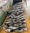11702 Black Sea Bass 09/29/26 3:13pm 11702 Black Sea Bass 09/29/26 3:13pm