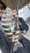 11710 Sheepshead 10/04/26 4:17pm 11710 Sheepshead 10/04/26 4:17pm