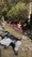 11713 Salmon 10/06/26 8:34am 11713 Salmon 10/06/26 8:34am