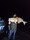 11736 Red Drum 10/16/26 10:39pm 11736 Red Drum 10/16/26 10:39pm