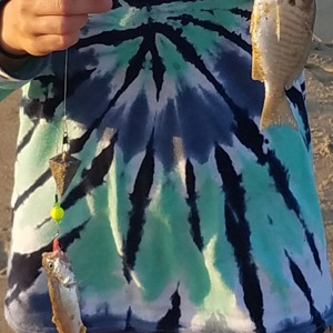 Image #1341 from GreatAnglers.com Image #1341 from GreatAnglers.com