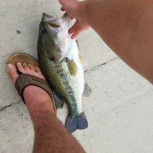 Image #1490 from GreatAnglers.com Image #1490 from GreatAnglers.com