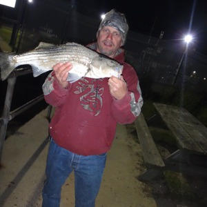 Image #1633 from GreatAnglers.com Image #1633 from GreatAnglers.com