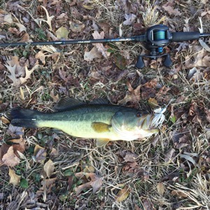 Image #1716 from GreatAnglers.com Image #1716 from GreatAnglers.com