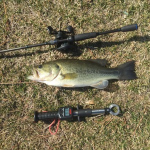Image #1733 from GreatAnglers.com Image #1733 from GreatAnglers.com