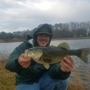 Image #1739 from GreatAnglers.com Image #1739 from GreatAnglers.com
