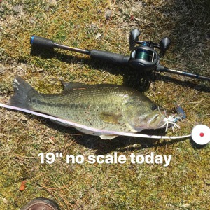 Image #1756 from GreatAnglers.com Image #1756 from GreatAnglers.com