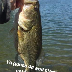 Image #1757 from GreatAnglers.com Image #1757 from GreatAnglers.com