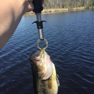 Image #1780 from GreatAnglers.com Image #1780 from GreatAnglers.com