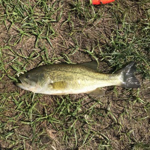 Image #1890 from GreatAnglers.com Image #1890 from GreatAnglers.com