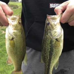Image #1909 from GreatAnglers.com Image #1909 from GreatAnglers.com