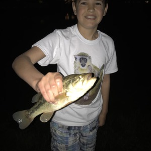 Image #1927 from GreatAnglers.com Image #1927 from GreatAnglers.com
